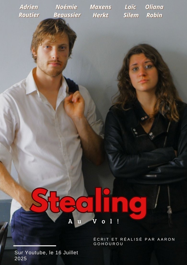 Poster of Stealing Au Vol