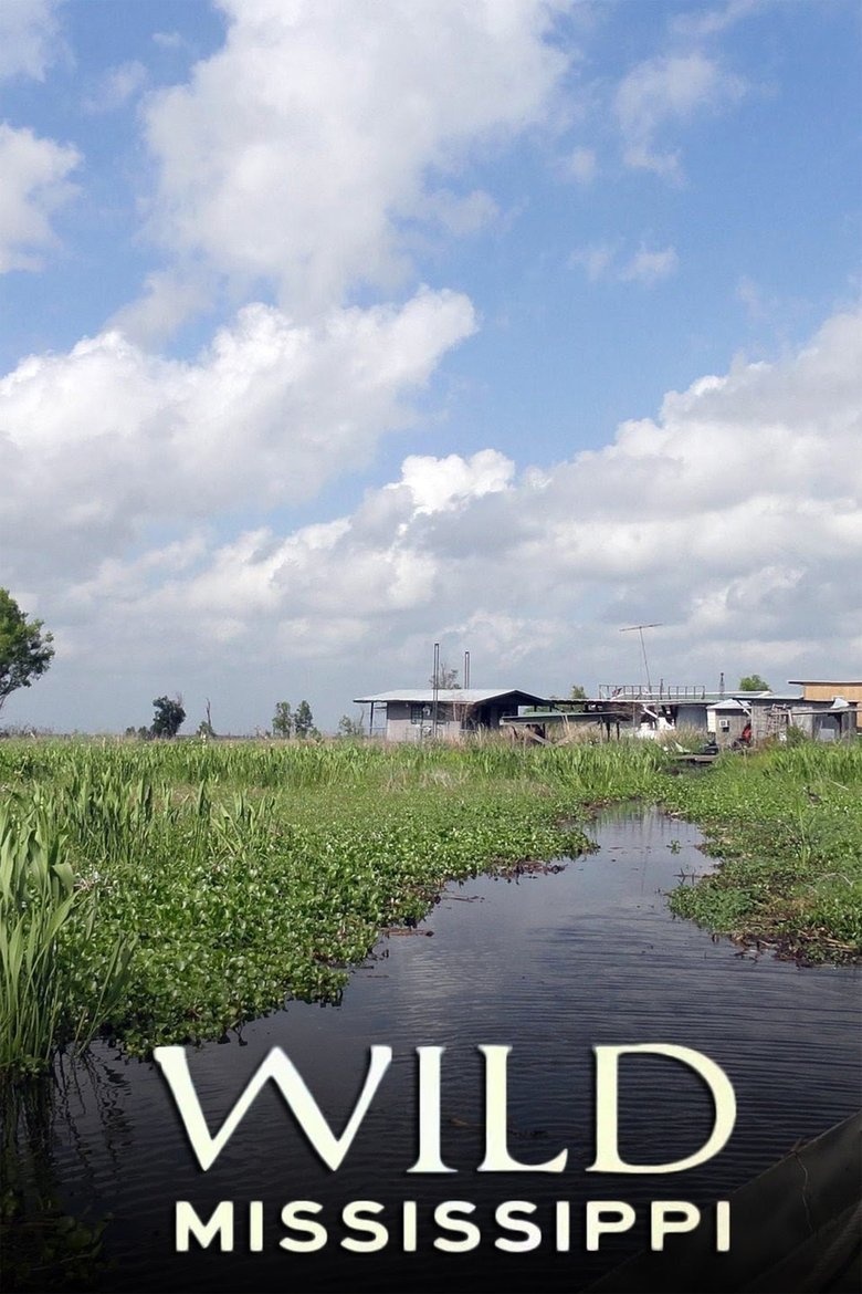 Poster of Wild Mississippi