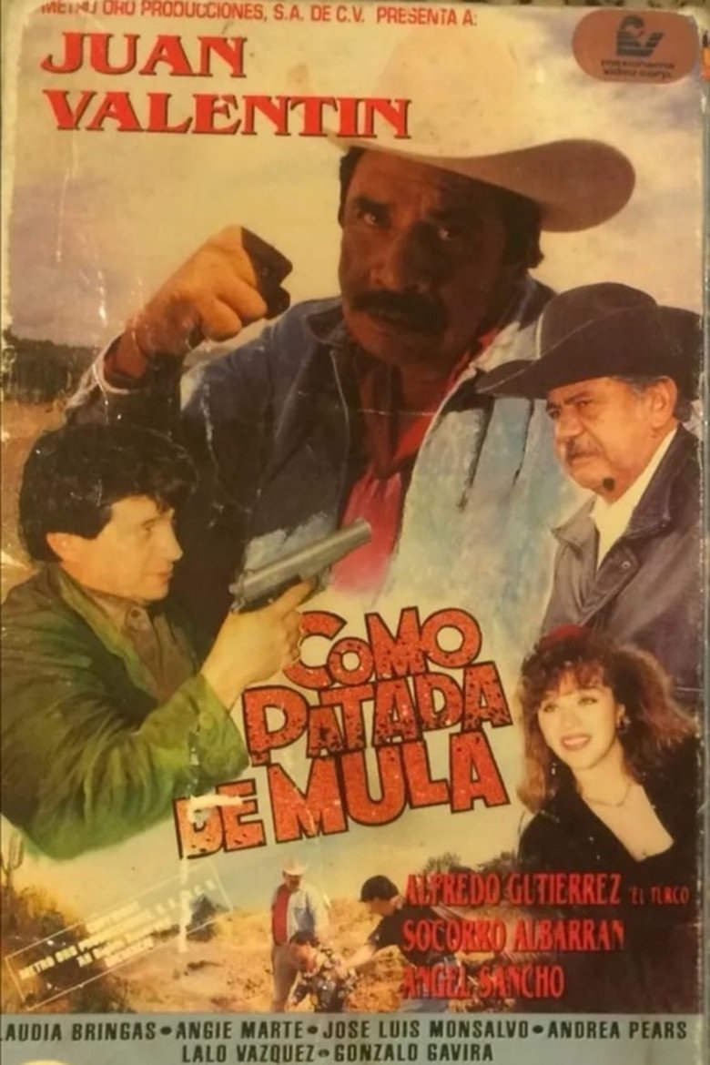 Poster of Como patada de mula