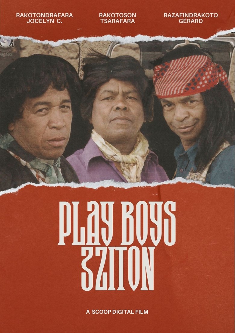 Poster of Play Boys 3