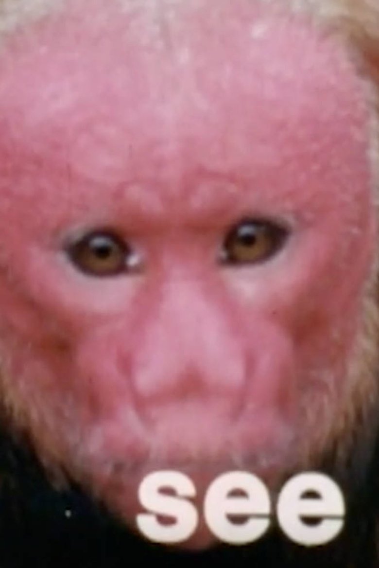 Poster of Monkey See, Monkey Do: Verbs