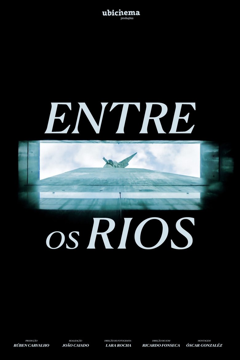Poster of Entre os Rios