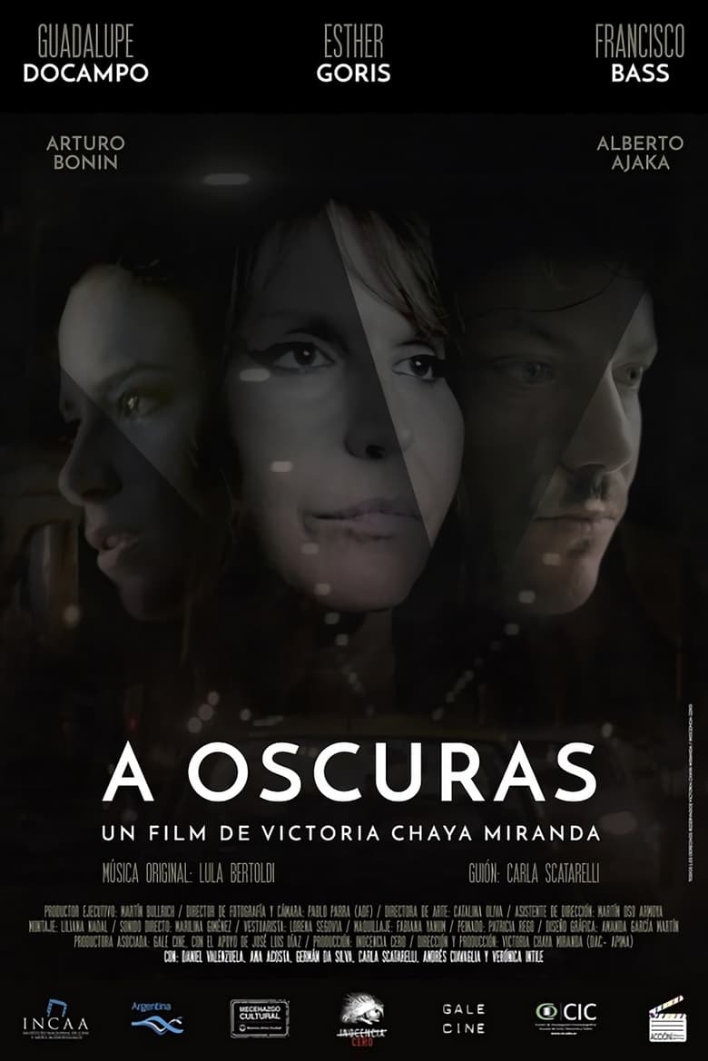 Poster of A oscuras