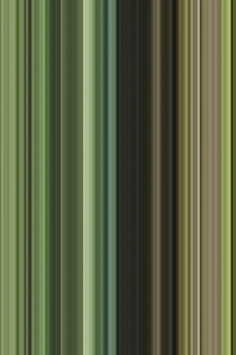 Poster of Été (summer / has been)
