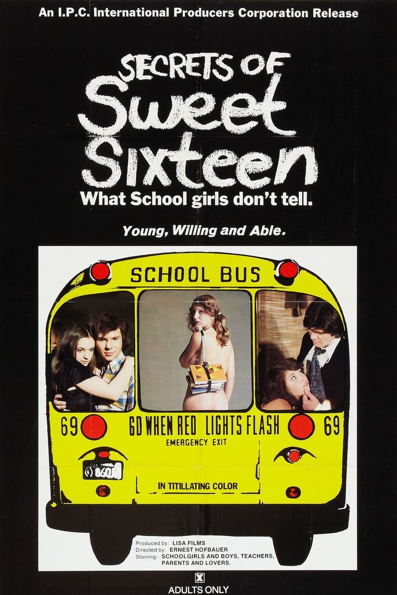 Poster of Secrets of Sweet Sixteen
