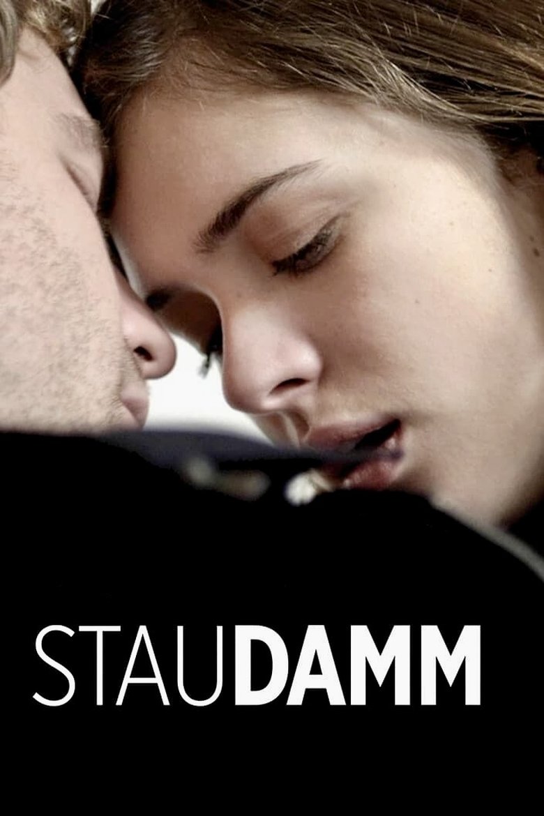 Poster of Staudamm