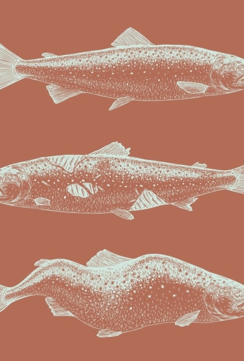 Poster of Laxaþjóð - A Salmon Nation