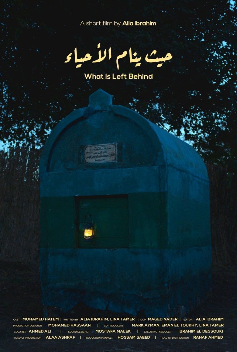 Poster of What is Left Behind