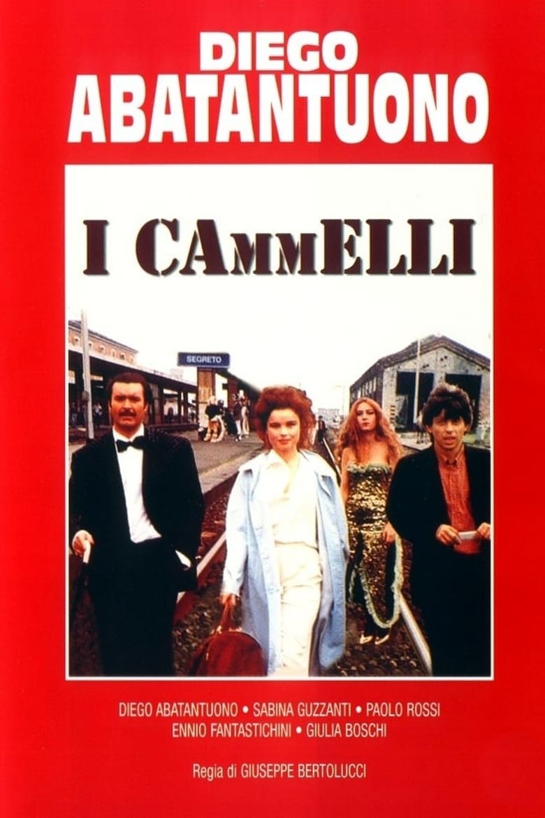 Poster of I cammelli