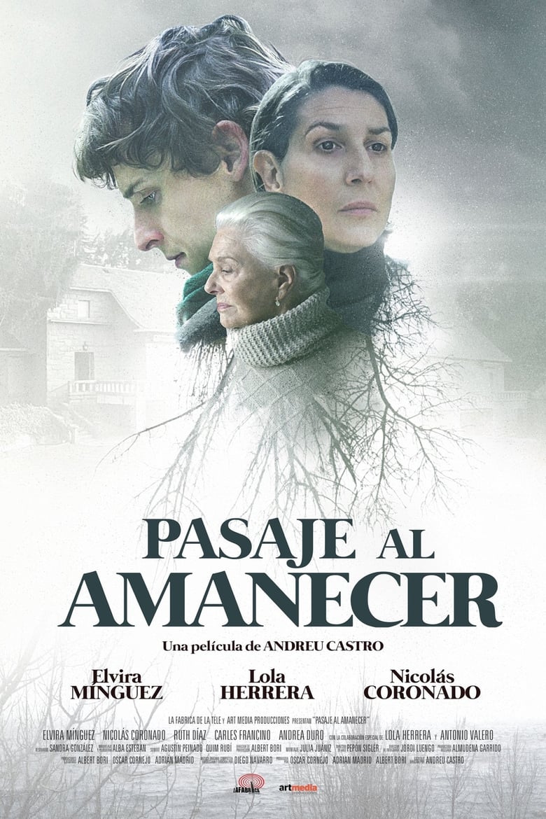 Poster of Pasaje al amanecer
