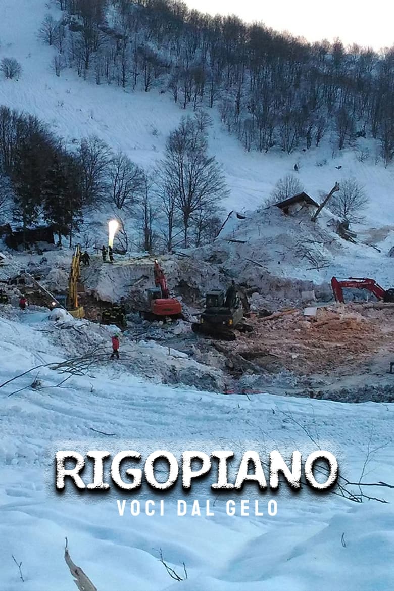 Poster of Rigopiano: voci dal gelo