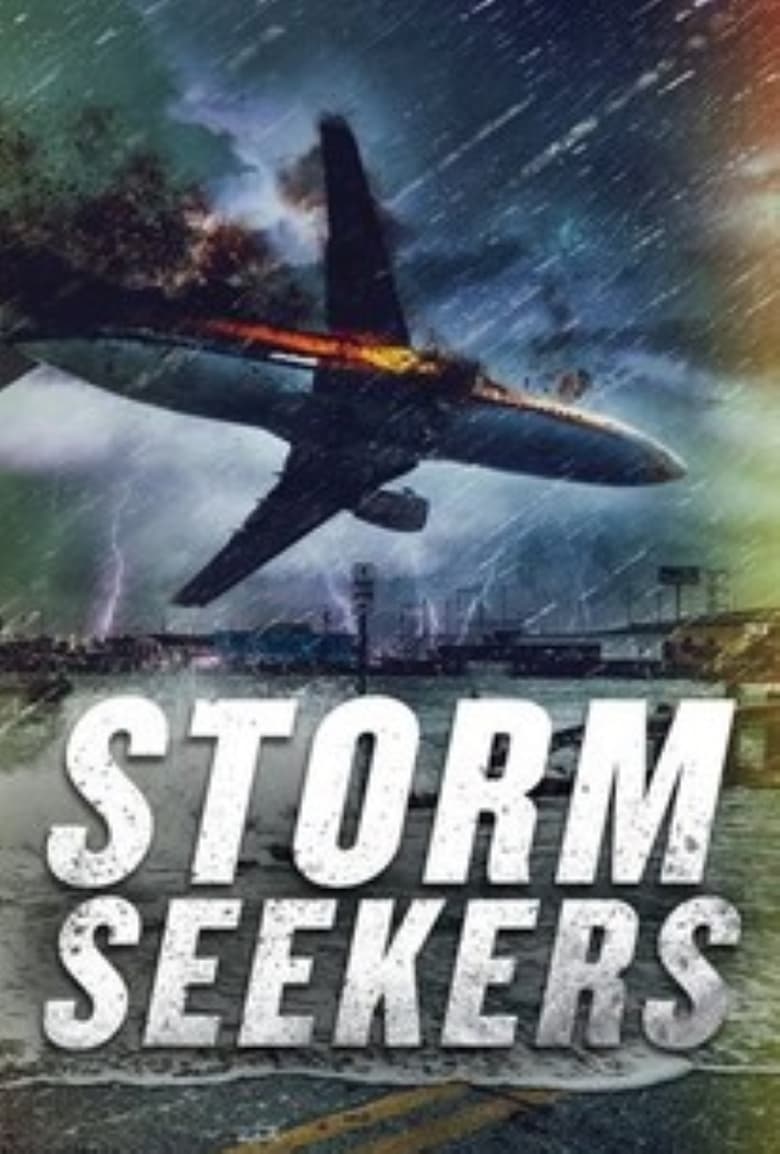 Poster of Storm Seekers