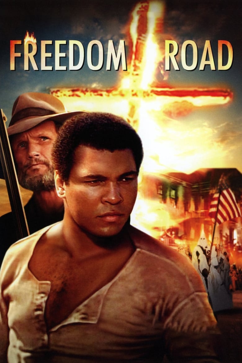 Poster of Freedom Road