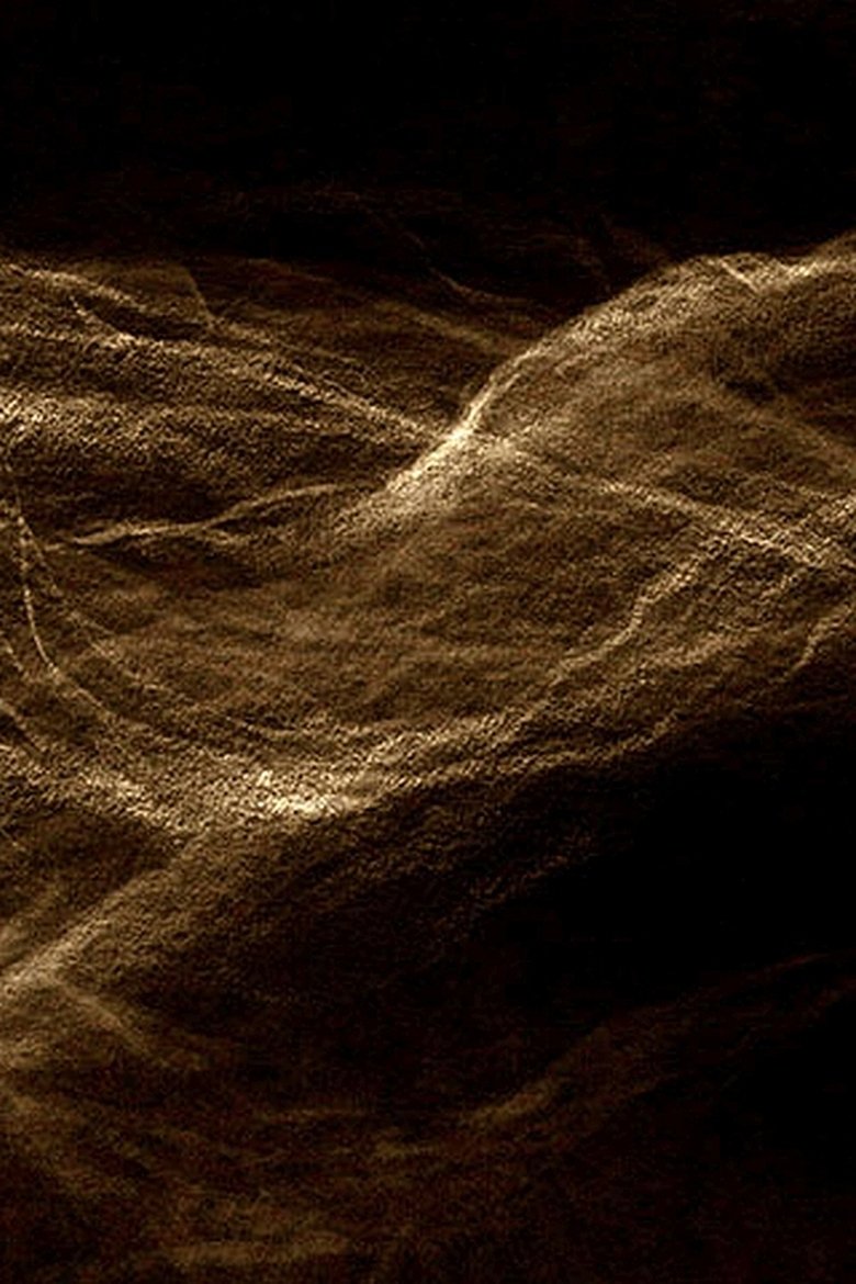 Poster of Trackless Lines