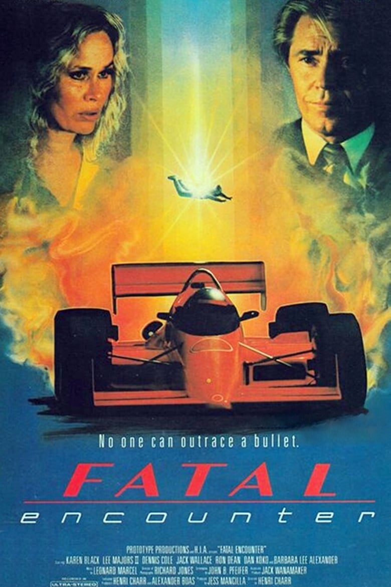 Poster of Fatal Encounter