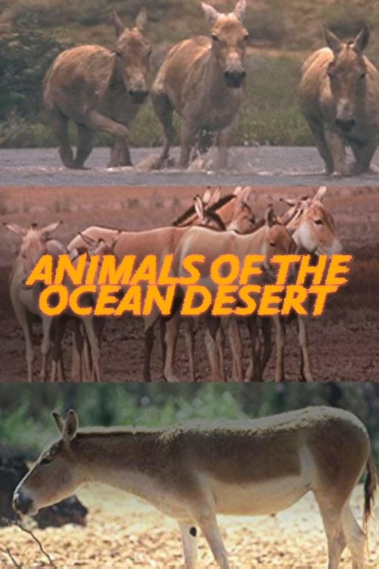 Poster of Animals of the Ocean Desert