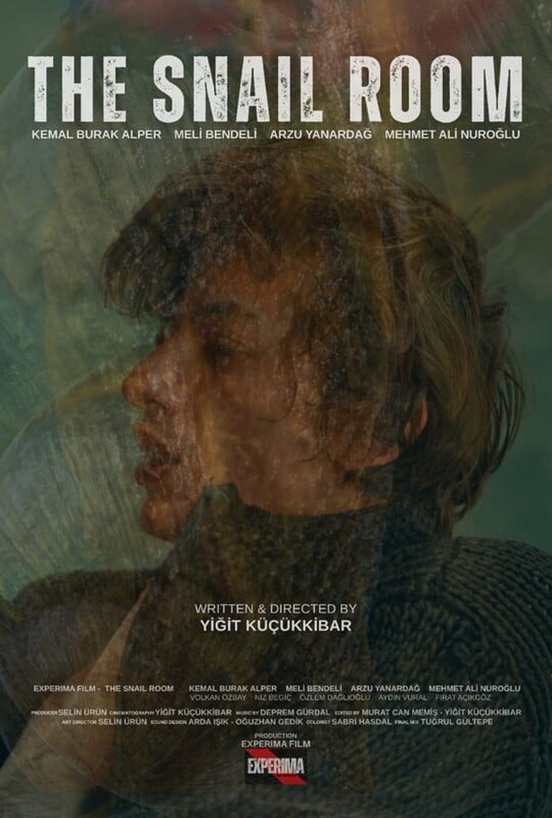 Poster of The Snail Room