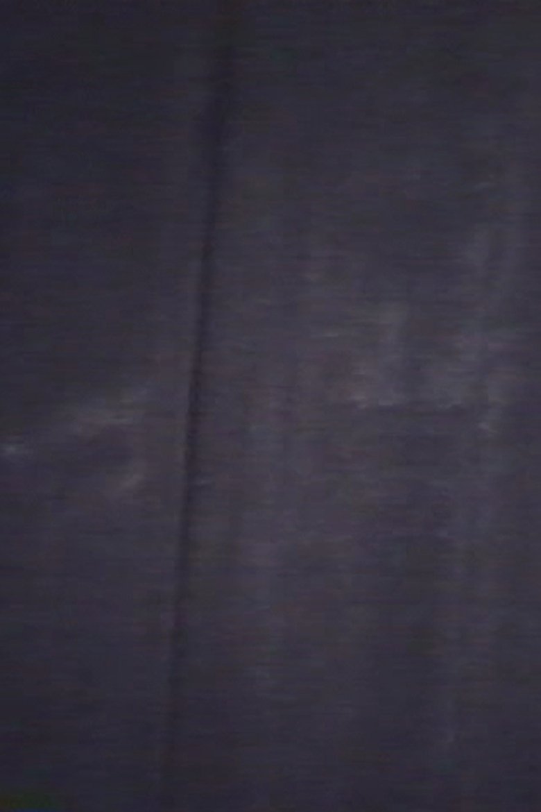 Poster of Fix