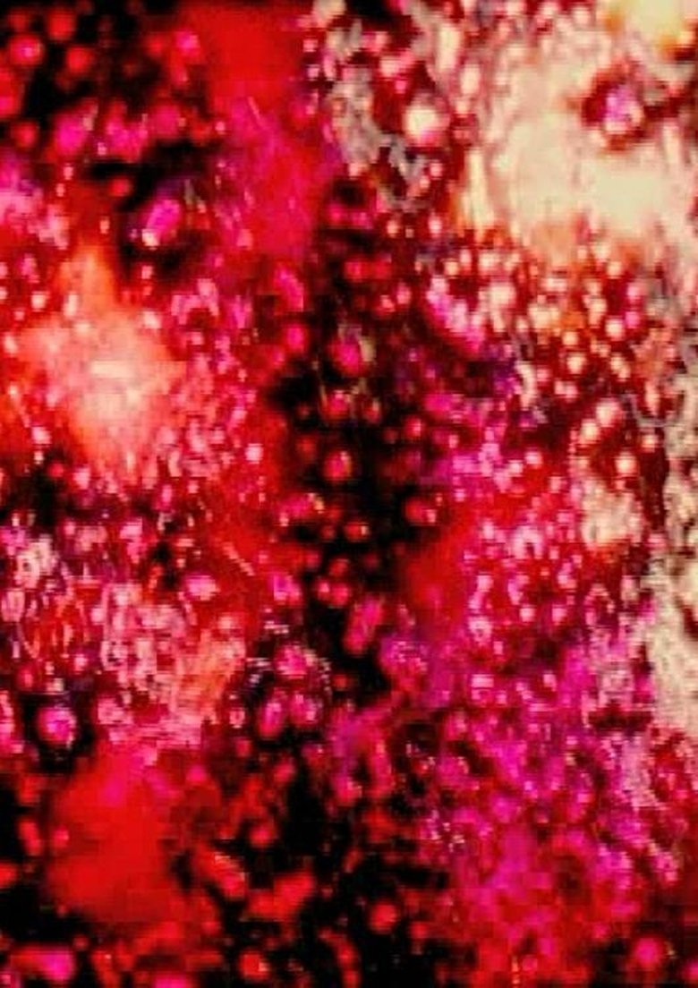 Poster of The Flickering of the Minds Eye