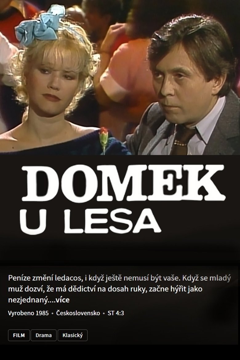 Poster of Domek u lesa