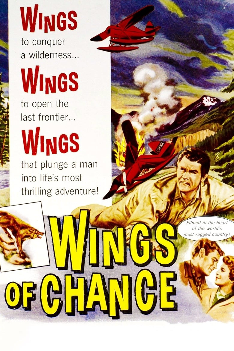 Poster of Wings of Chance