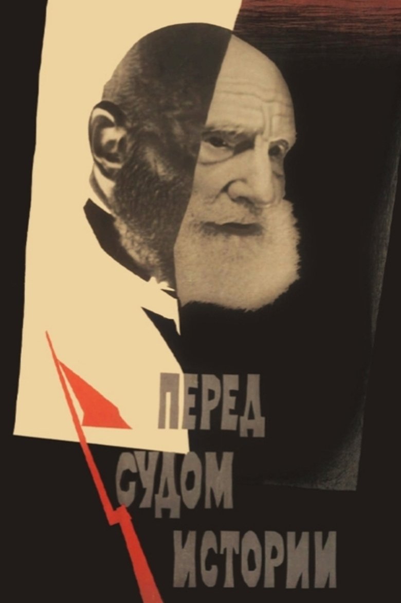 Poster of Facing the Judgement of History