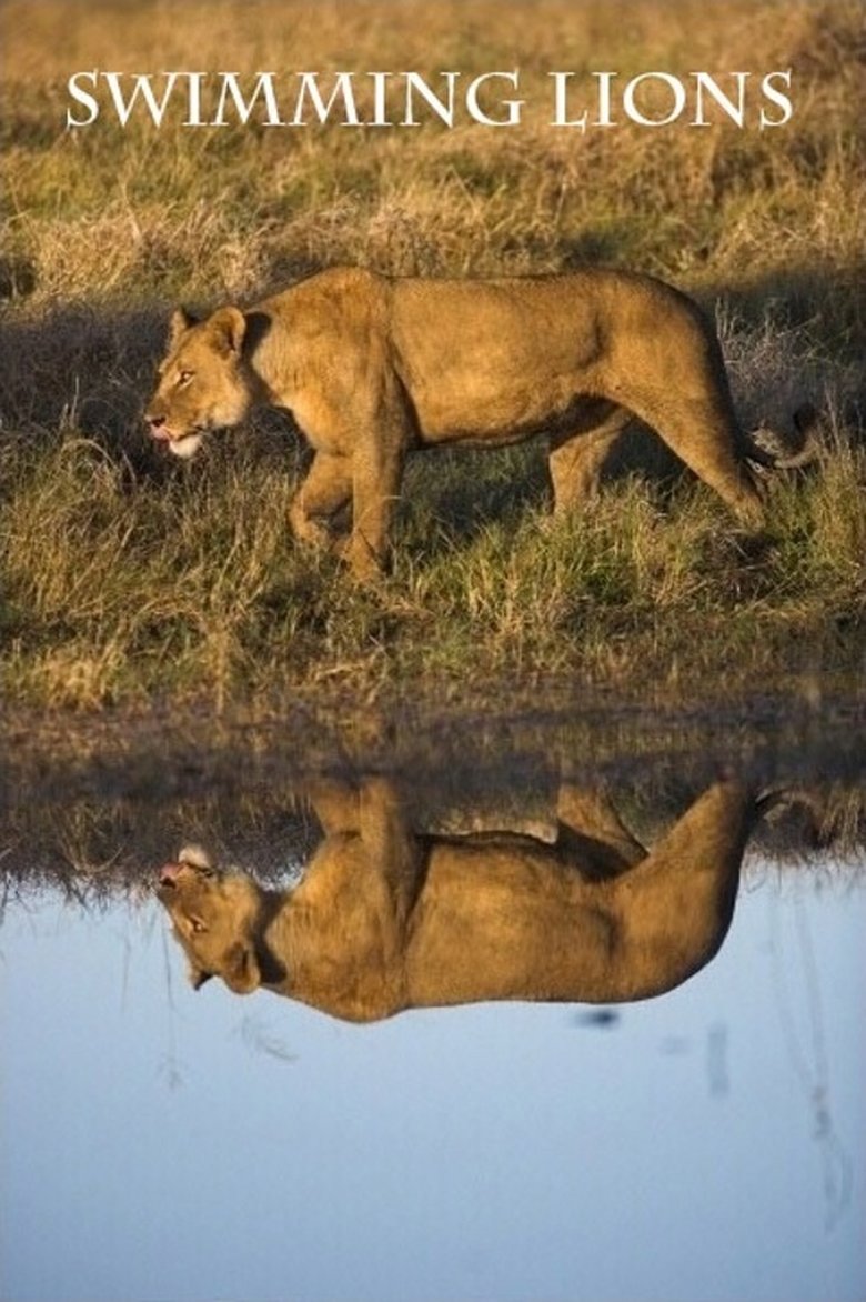 Poster of Swimming Lions