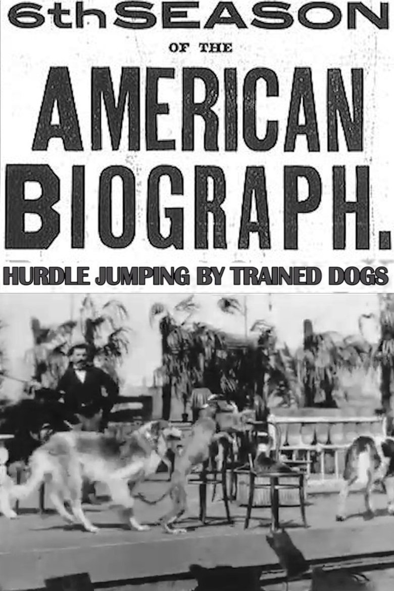 Poster of Hurdle Jumping; by Trained Dogs