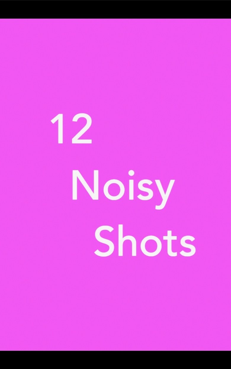 Poster of 12 Noisy Shots