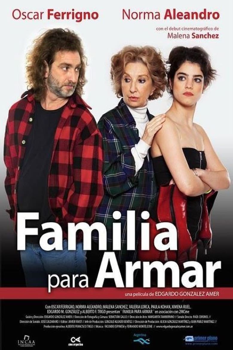 Poster of Familia para armar