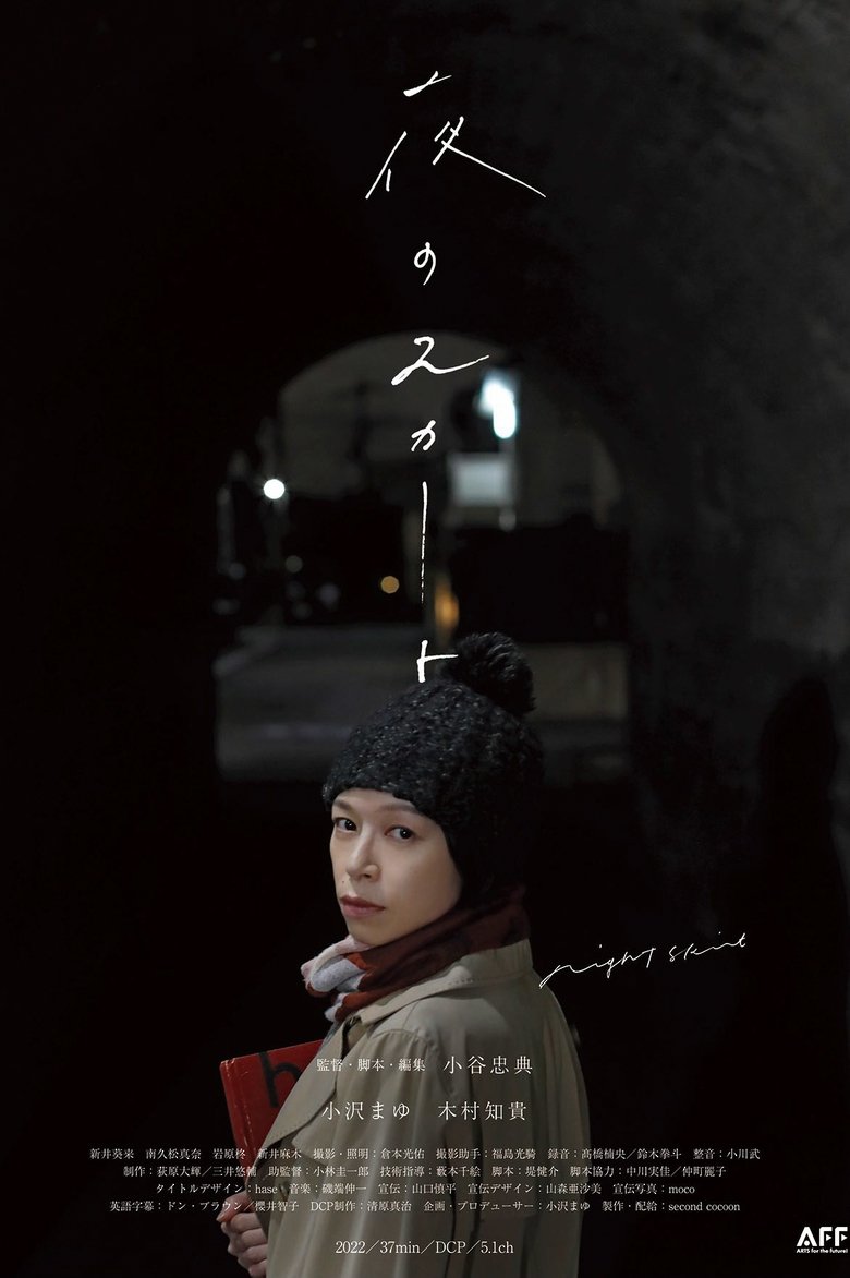 Poster of Night Skirt