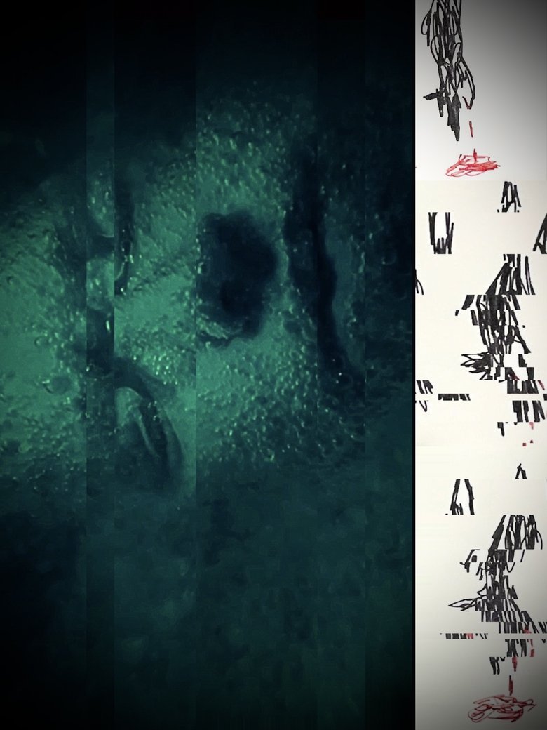 Poster of Three Wolves