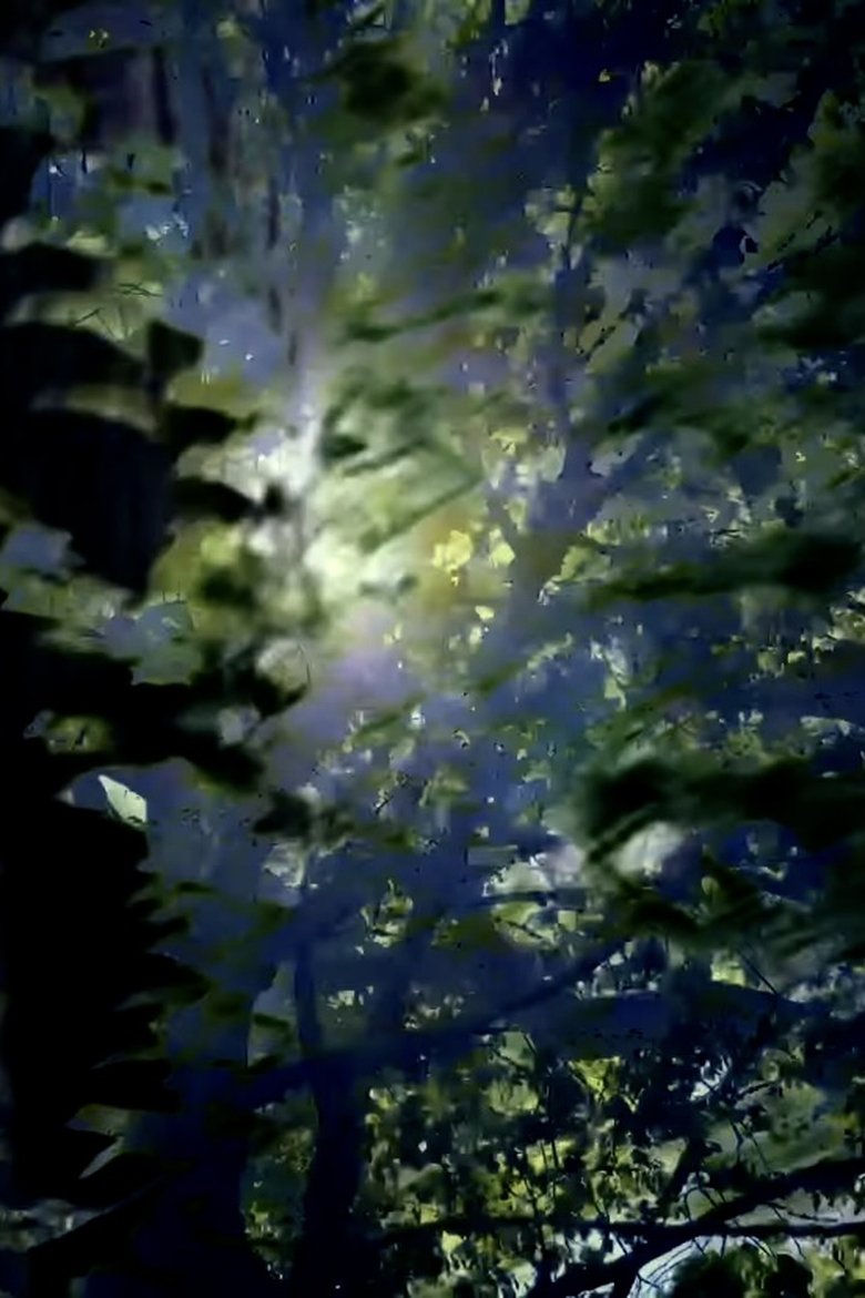 Poster of Branches