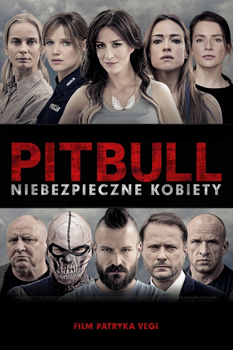 Poster of Pitbull: Tough Women