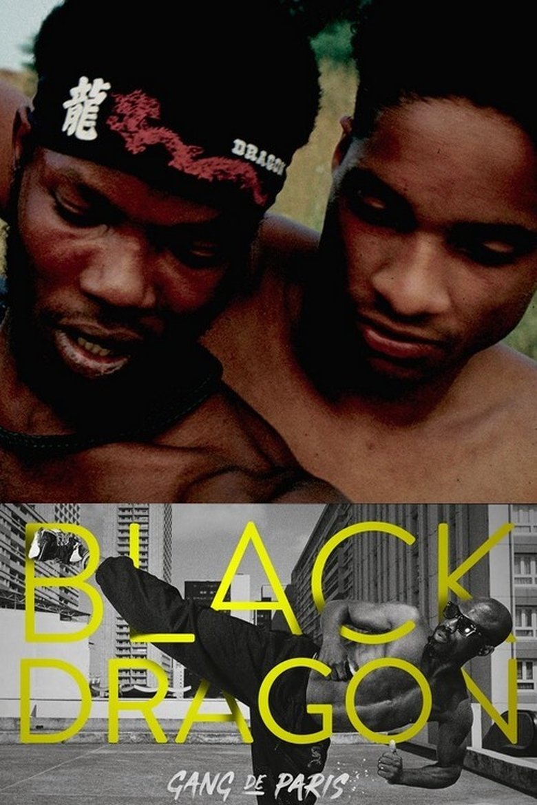 Poster of Gang de Paris : Black Dragon