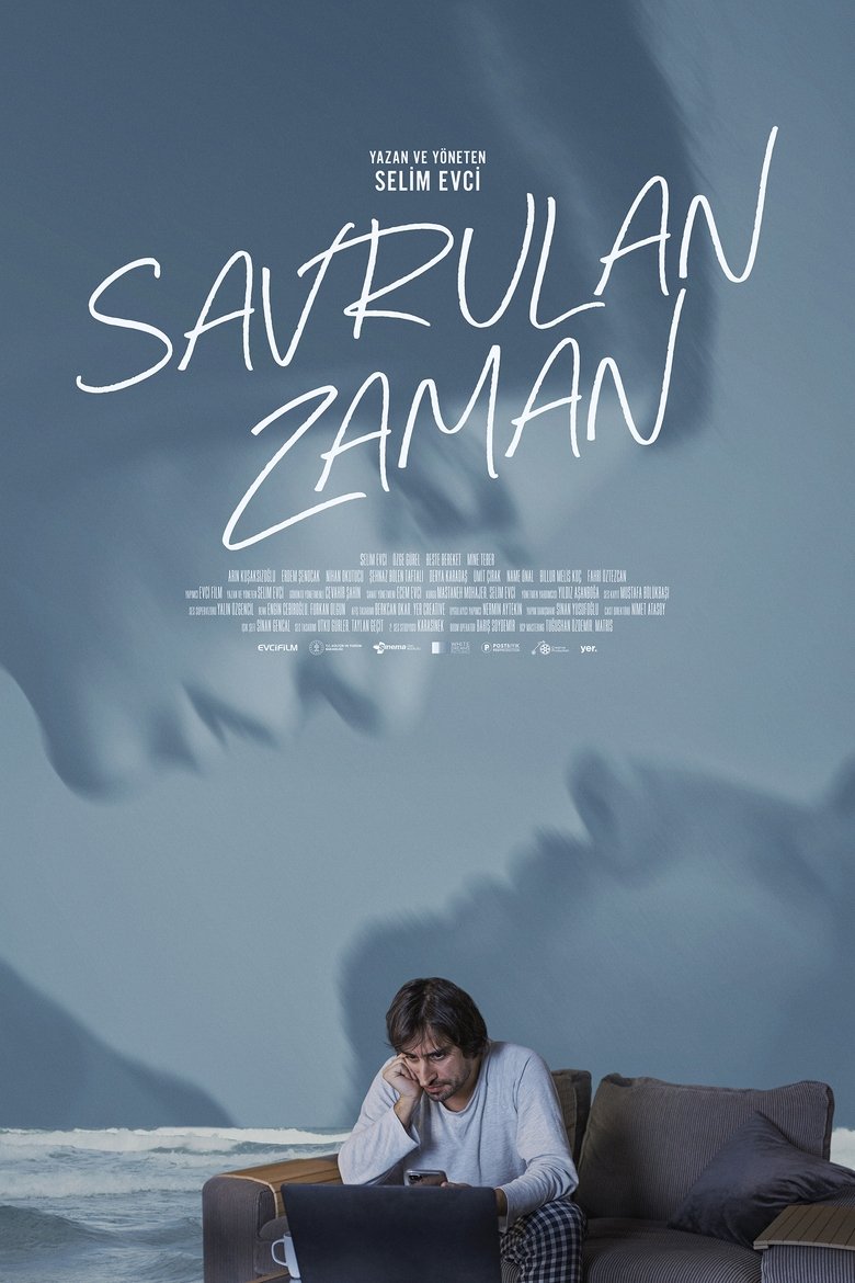 Poster of While Time Flows