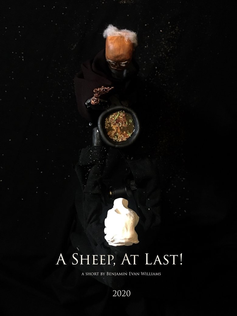 Poster of A Sheep, At Last!