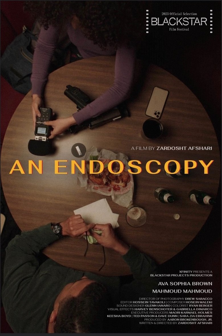 Poster of An Endoscopy