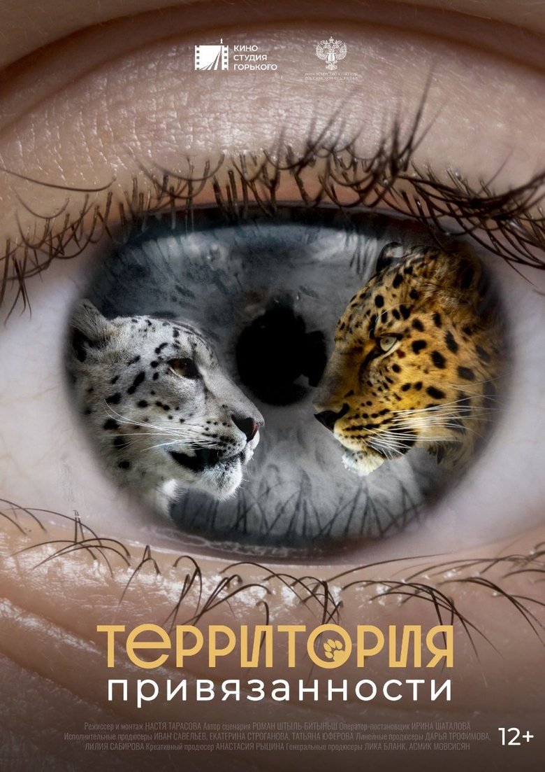 Poster of No Attachment Territory