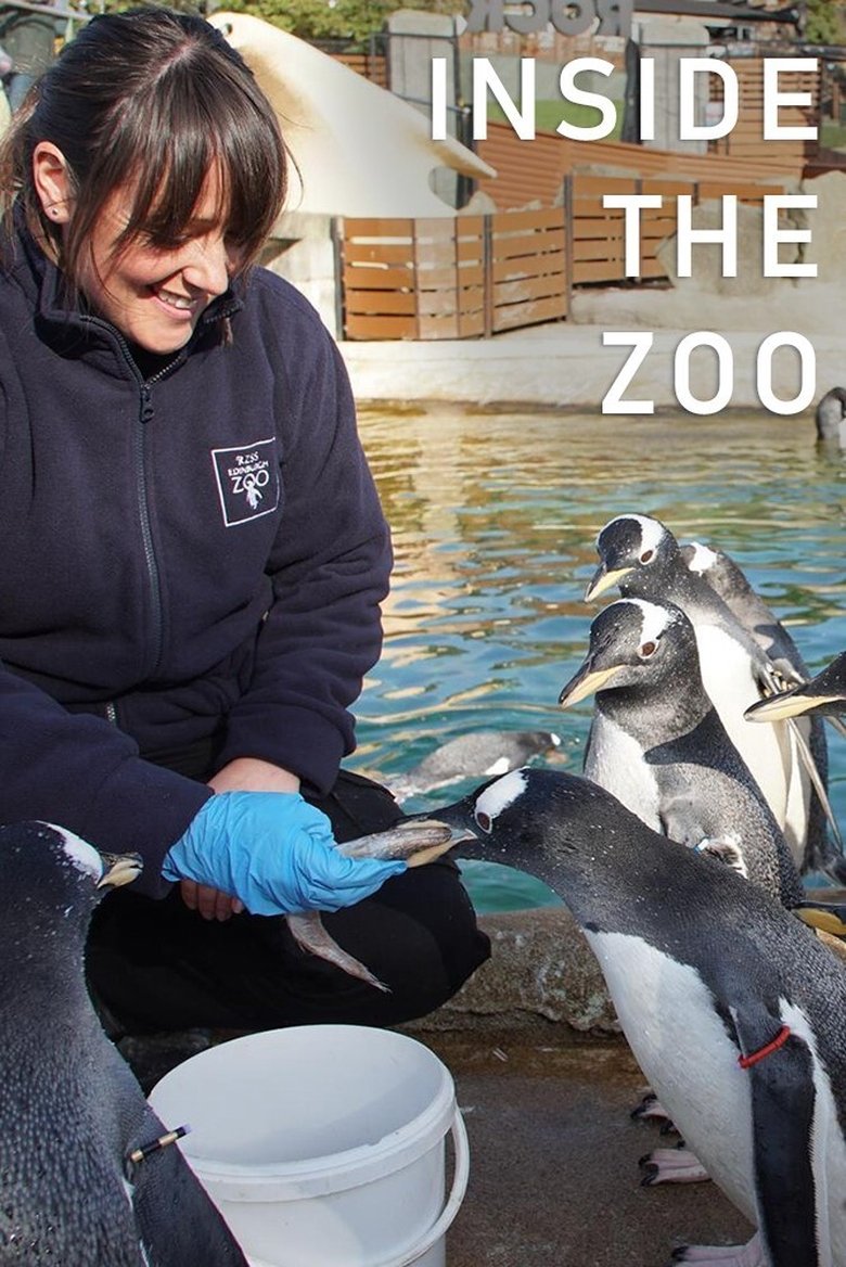 Poster of Inside The Zoo