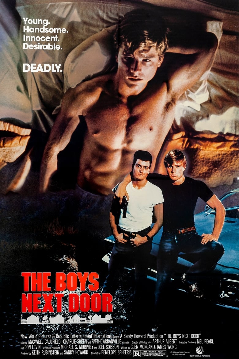 Poster of The Boys Next Door
