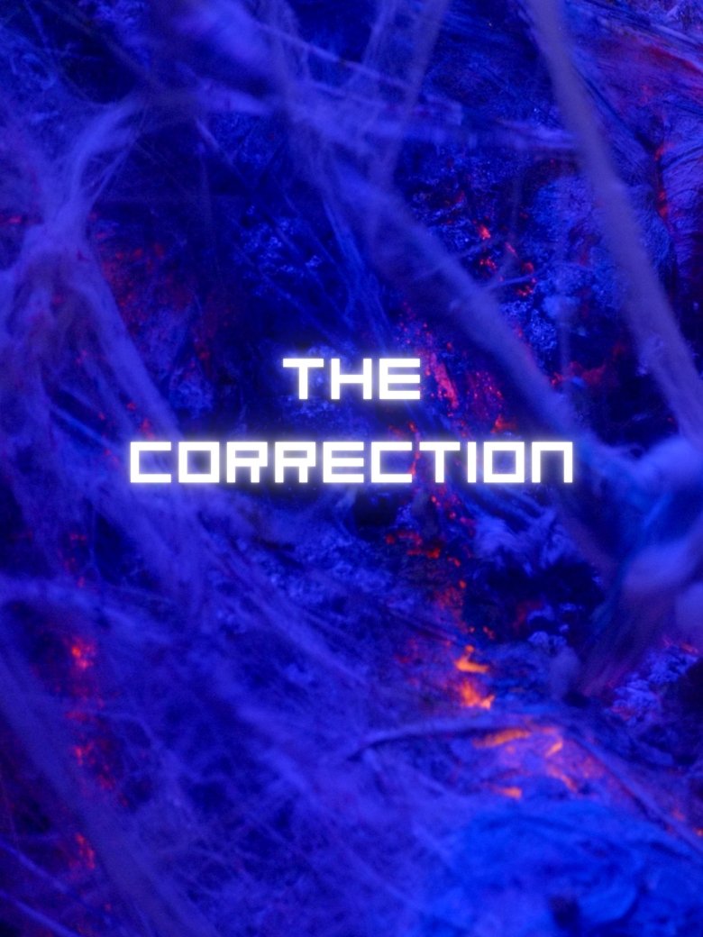 Poster of The Correction