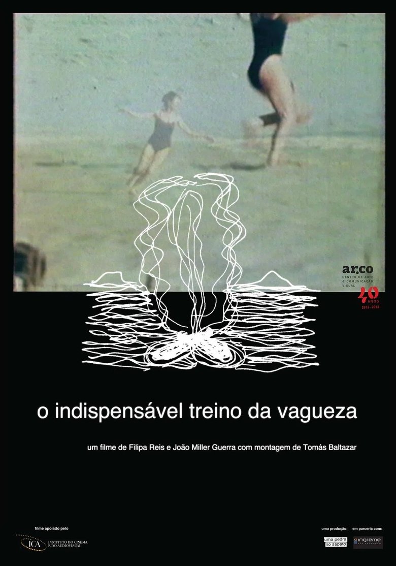 Poster of The Indispensable Practice of Vagueness