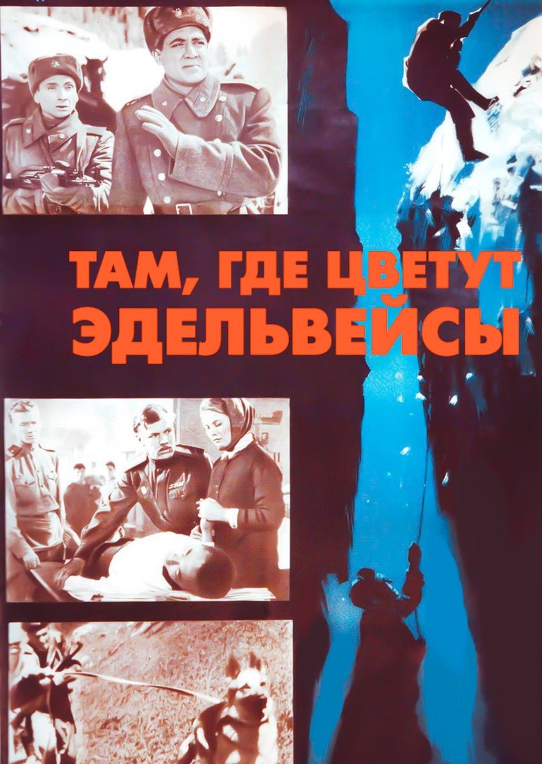 Poster of Where the Edelweiss Blooms