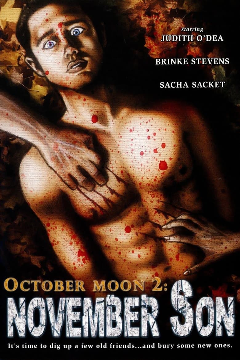 Poster of October Moon 2: November Son