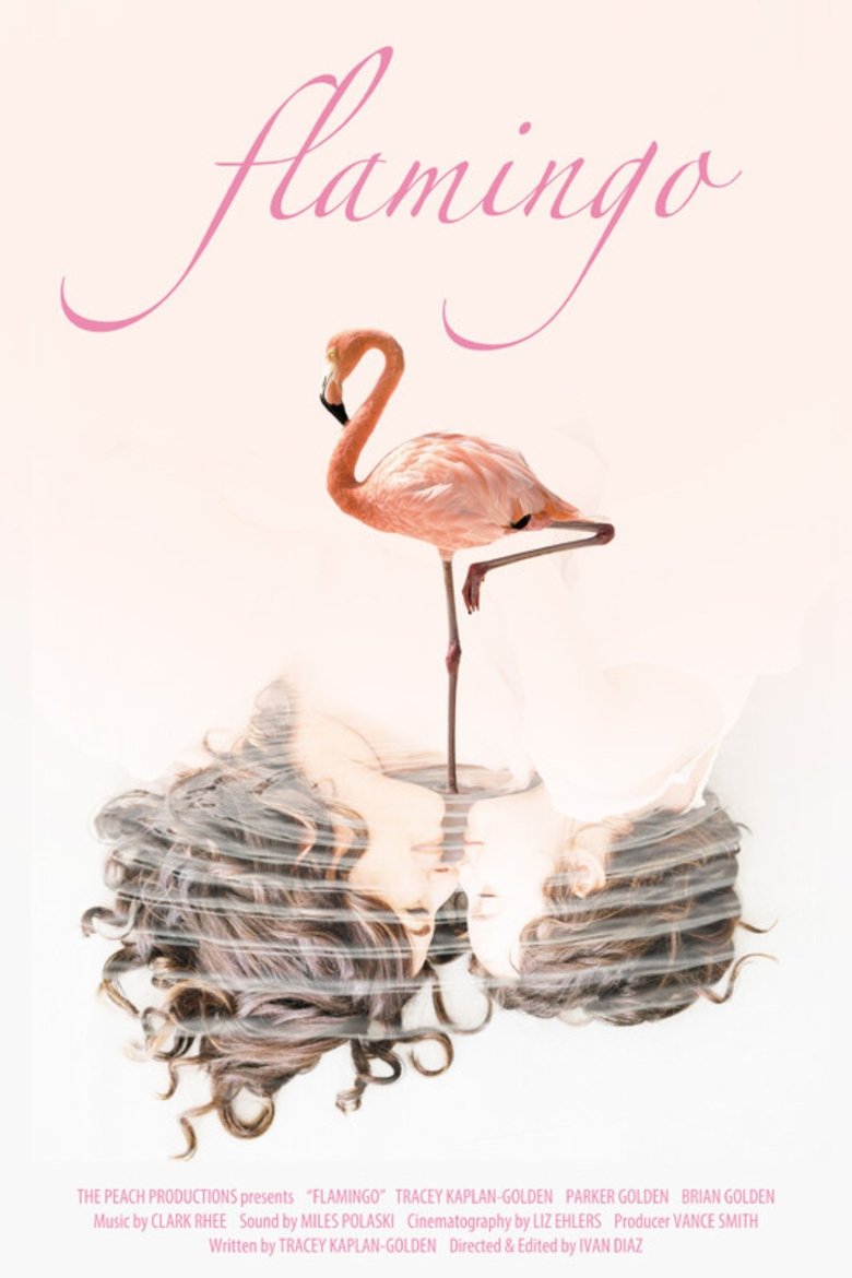 Poster of Flamingo