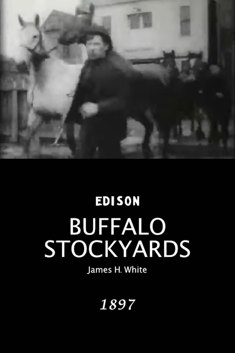 Poster of Buffalo Stockyards