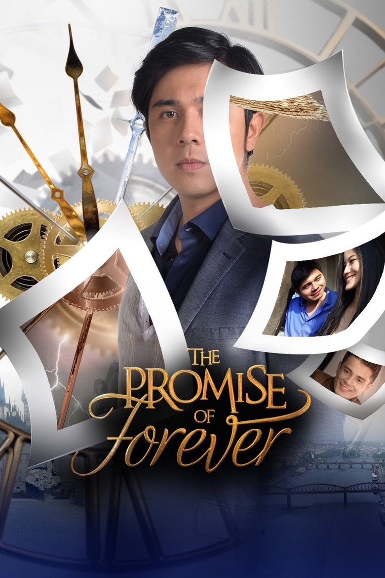 Poster of The Promise of Forever
