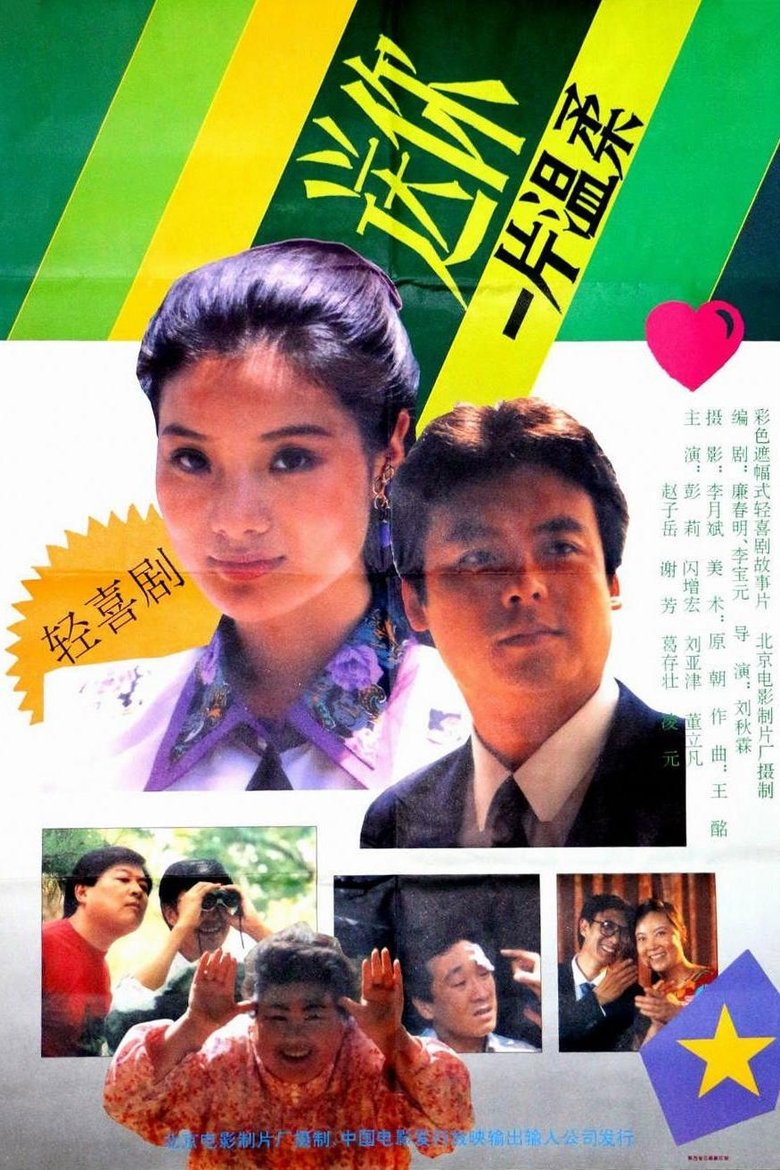 Poster of 送你一片温柔