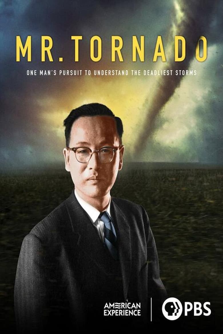 Poster of Mr. Tornado